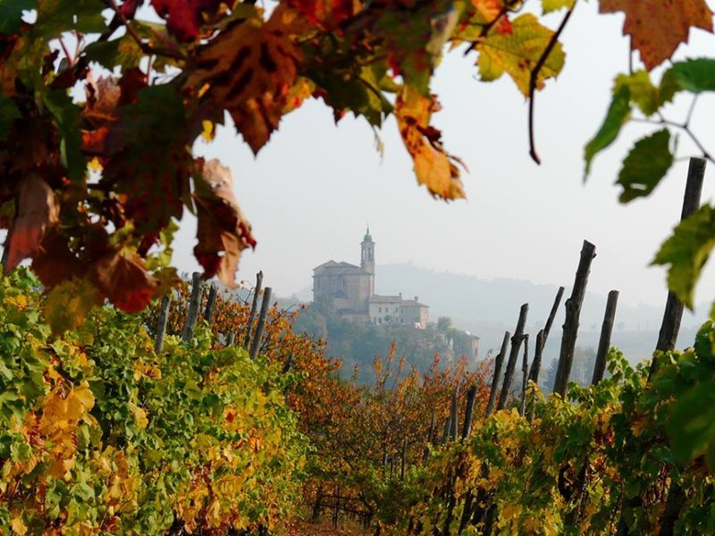 Car Hire Milan Cheap Car Rental Milan Italy from Rhino