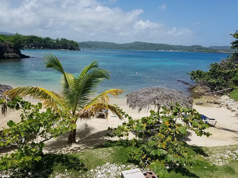 Car Hire Montego Bay Cheap Car Rental Montego Bay Rhino