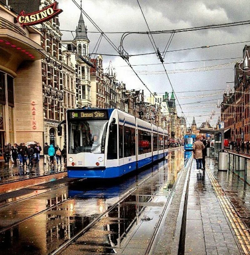 Local Car Rentals Netherlands at Lisa Lira blog