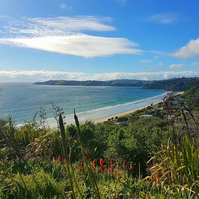 Car Hire Auckland Cheap Car Rental Auckland New Zealand from Rhino