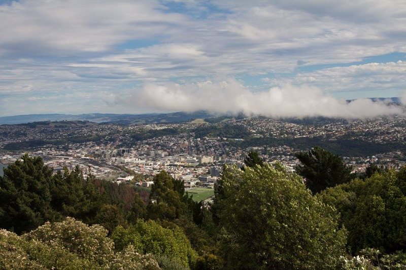 Car Hire Dunedin Cheap Car Rental Dunedin New Zealand Rhino