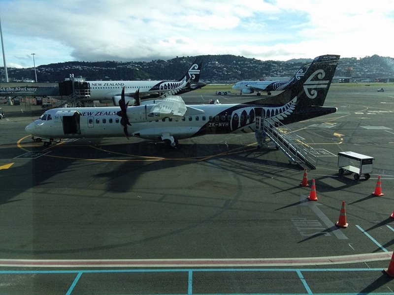 Car Hire Wellington Airport Cheap Car Hire WLG Airport Rhino