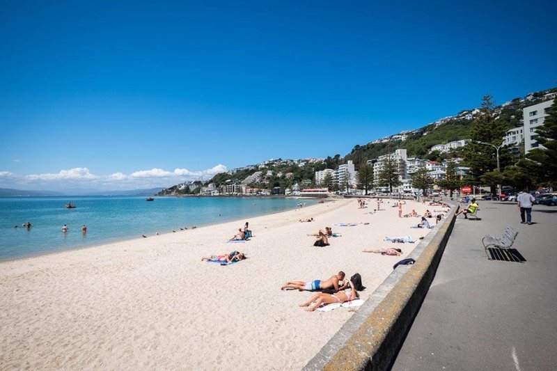 Car Hire Wellington Car Rental Wellington New Zealand from Rhino