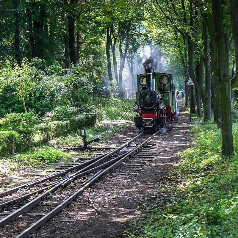 Poznan steam train