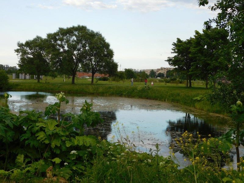 St Petersburg park