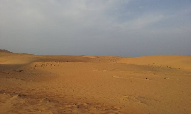 Senegal Desert