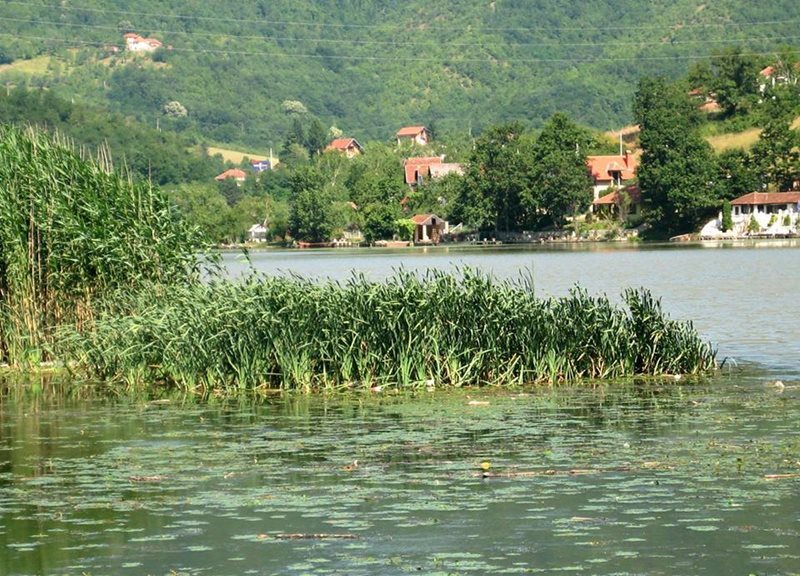 Car Hire Serbia Cheap Car Rental in Serbia with