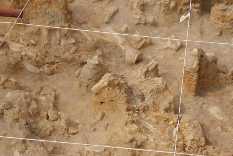 Car Hire Langebaan Cheap Car Rental Langebaan with Rhino