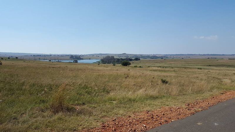 Pretoria Airport Rietvlei Game Reserve