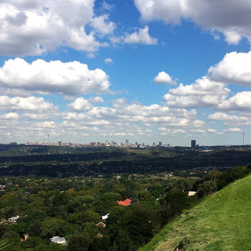 Car Hire Randburg Cheap Car Rental Randburg from Rhino