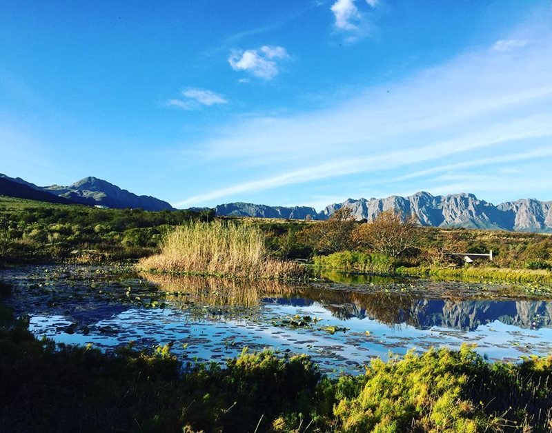 Car Hire Somerset West Car Rental Somerset West ZA from Rhino