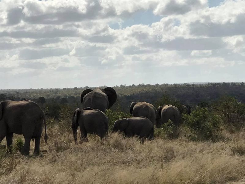 Car Hire Witbank Cheap Car Rental Witbank from Rhino