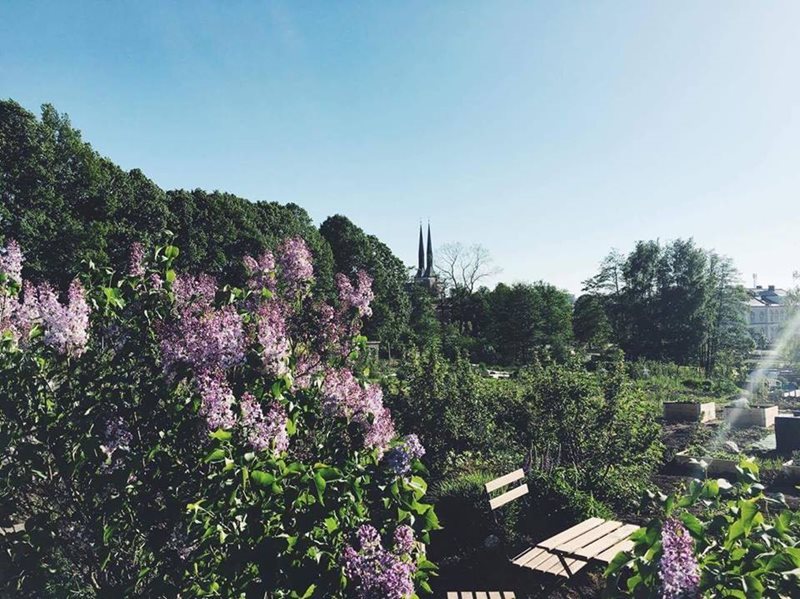 Car Hire Vaxjo Airport Car Rental Smaland Airport from Rhino