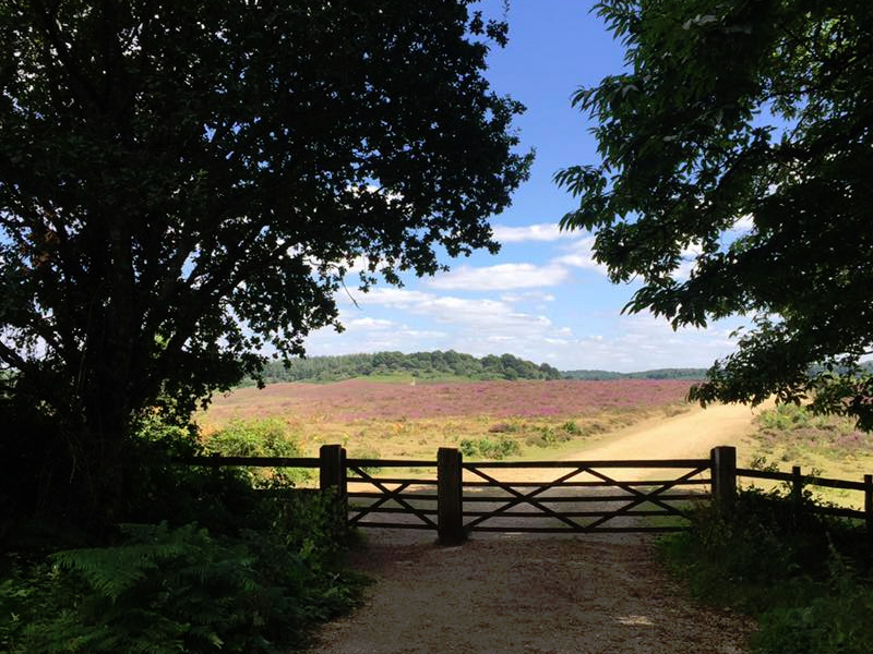 Car Hire Southampton Cheap Car Rental Southampton Port, UK