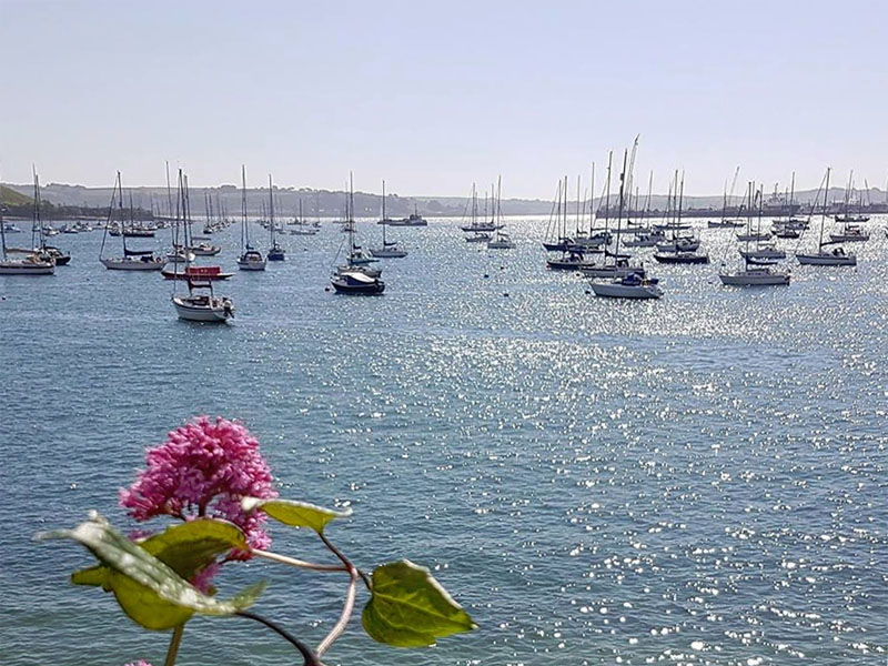 Car Hire Falmouth Cheap Car Rental Falmouth UK from Rhino