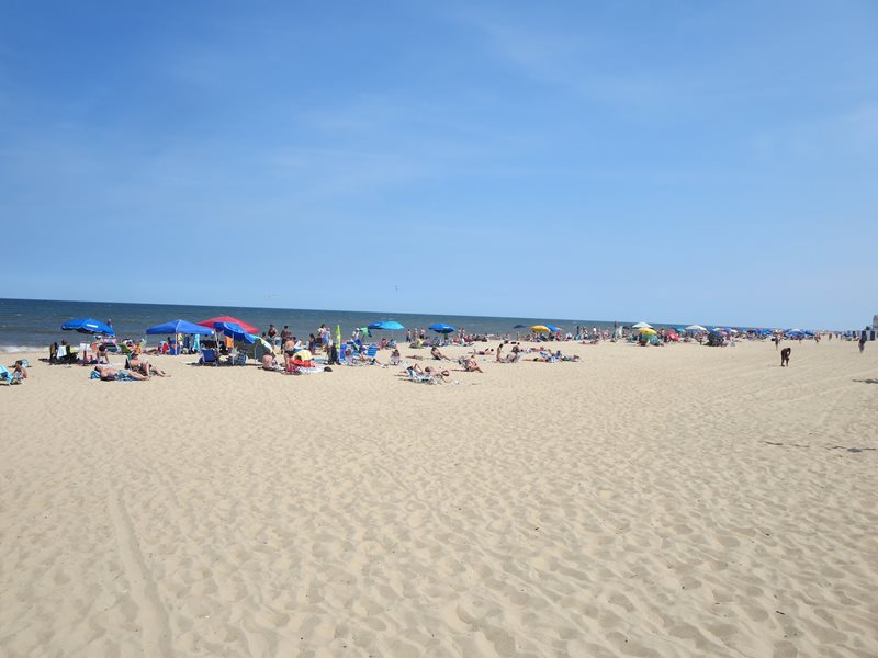 Car Hire Delaware Cheap Car Rental Delaware from Rhino