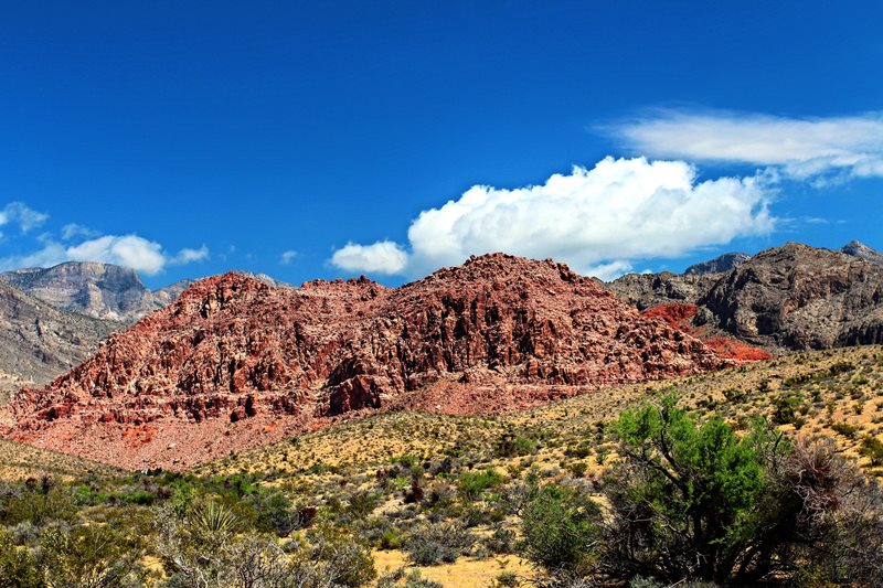 Las Vegas Red Rock Canyon
