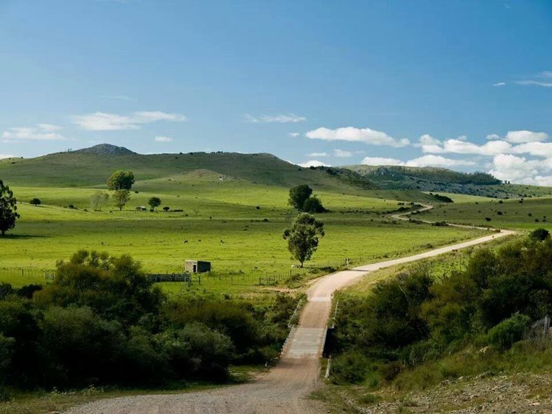 Uruguay rolling hills