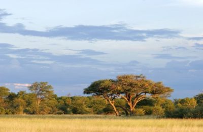 Car Hire Zimbabwe Harare Airport Car Hire Zimbabwe Harare Airport