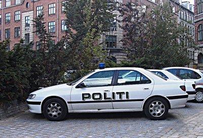 Danish Police Car