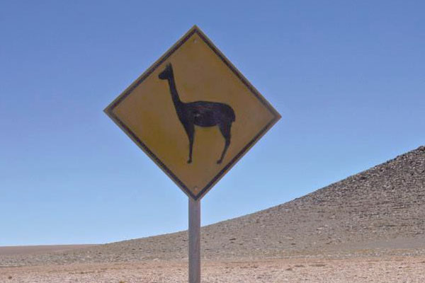 Bolivia-Llama-Road-Sign