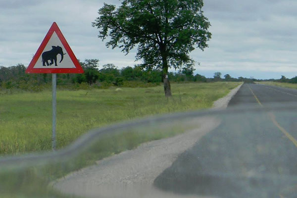 Botswana-Elephant-Road-Sign