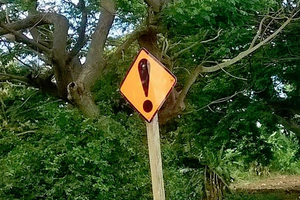 Fiji-Caution-Road-Sign