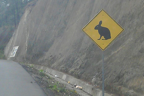 Honduras-Road-Sign