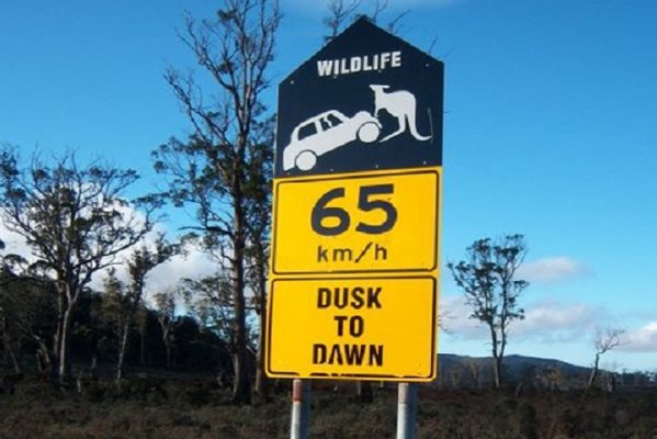Tasmania-Road-Sign