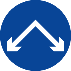 Passing left or right mandatory - Road Sign