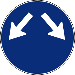 Passing left or right mandatory - Road Sign