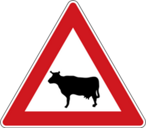 معبر الماشية - لافتة طريق