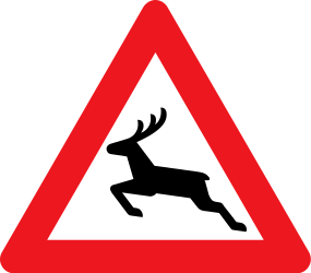 Deer crossing in area - road - Road Sign