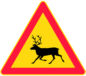 Warning for reindeer on the road - Road Sign