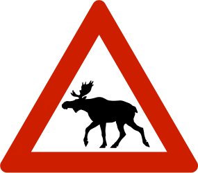 Warning for moose on the road - Road Sign