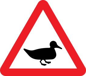 Warning for ducks on the road - Road Sign