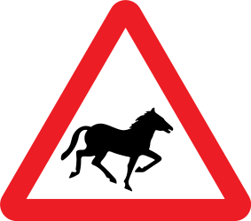 Warning for wild horses on the road - Road Sign