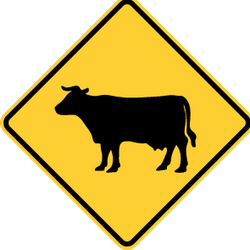 Cattle crossing - Road Sign