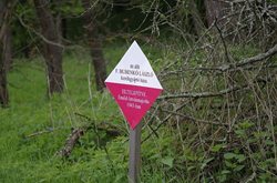Derenk Sign
