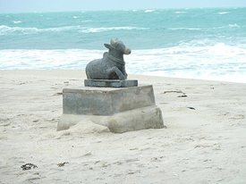 Dhanushkodi Lone Bull on the Beach