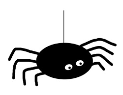 spider