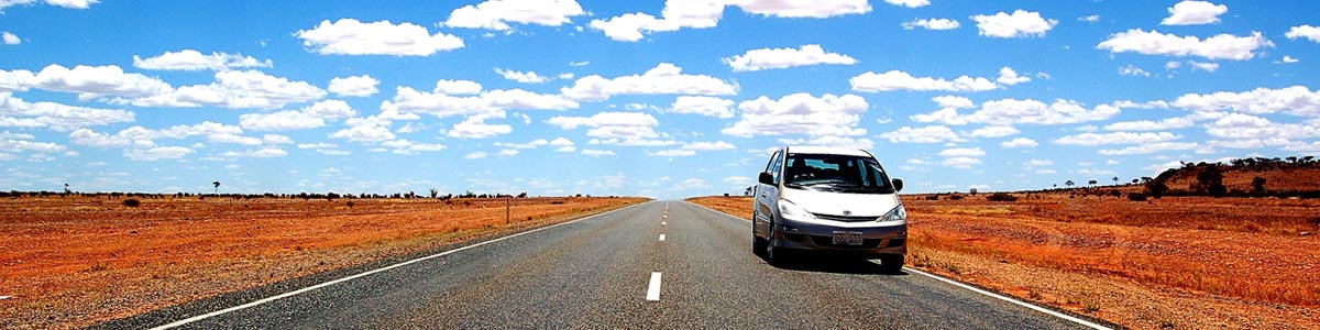 bush road in Oceania