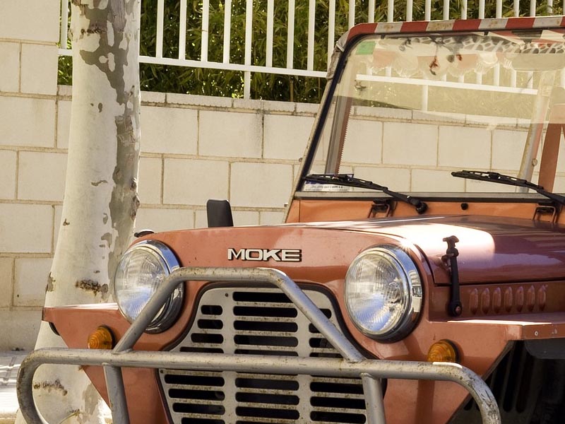 mini moke rental barbados