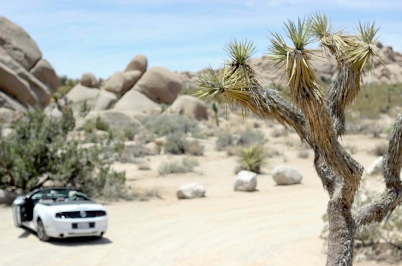 convertible mustang rental