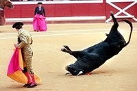 Bullfighting Andalusia Spain