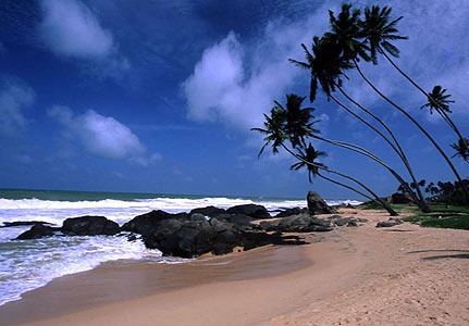 Sri-Lanka-Picture.aspx